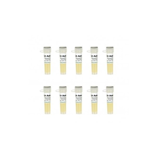 XJb Autolysis, 10x100 uml Mix & Go competent cells and 1ml 500X L-Arabinose